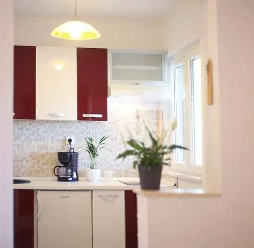 Paradise Appartement *